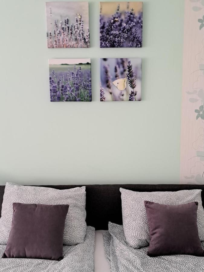 Soul Hotel Палич Екстериор снимка